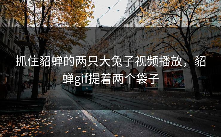 抓住貂蝉的两只大兔子视频播放，貂蝉gif提着两个袋子