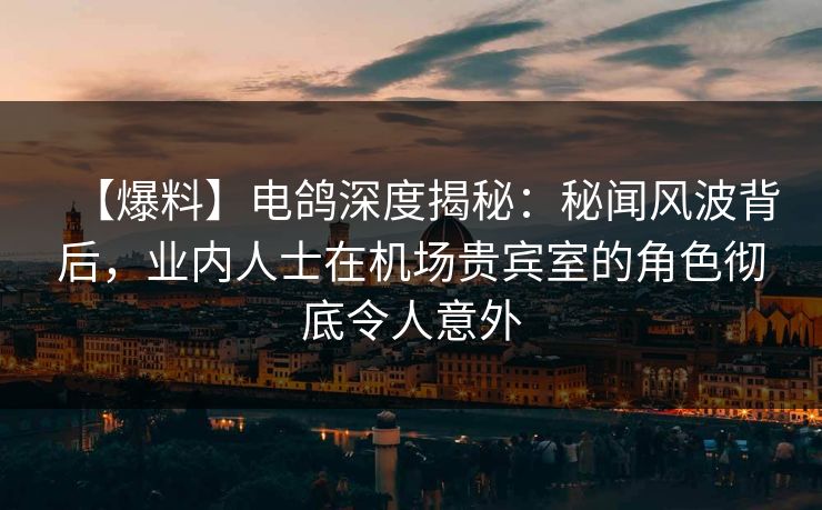 【爆料】电鸽深度揭秘：秘闻风波背后，业内人士在机场贵宾室的角色彻底令人意外